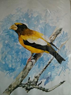 Mrs. Prasuna- Watercolor