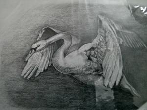Mrs. Prasuna- Pencil Sketch