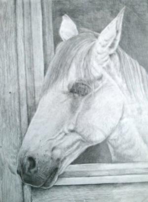 Mrs. Prasuna- Pencil Sketch