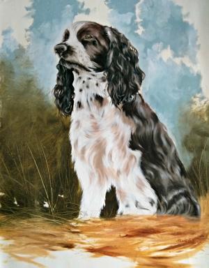 Akanksha-Oil on Canvas