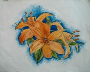 Kathyayini-Color pencils